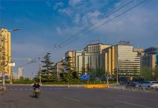 草坪婚礼主持哪里有