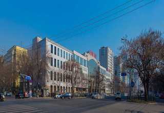 河北白三叶草草种厂家