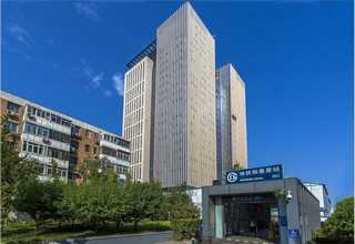 安徽海藻精浇花